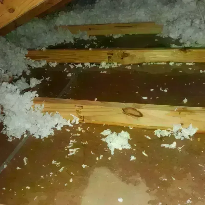 Attic Water Damage in Meadville, MS