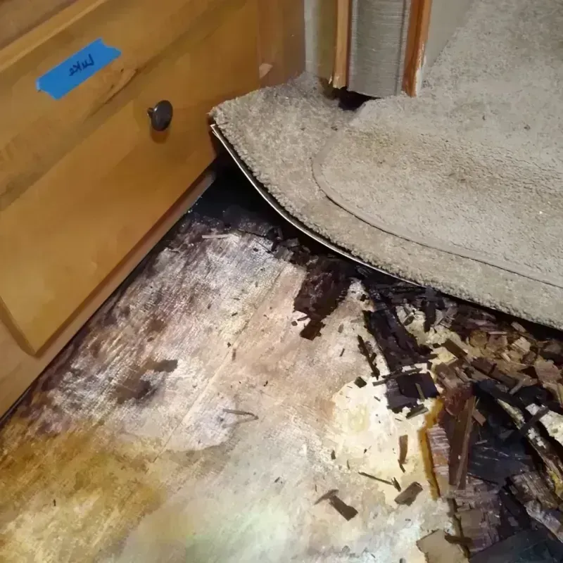 Best Wood Floor Water Damage Service in Meadville, MS